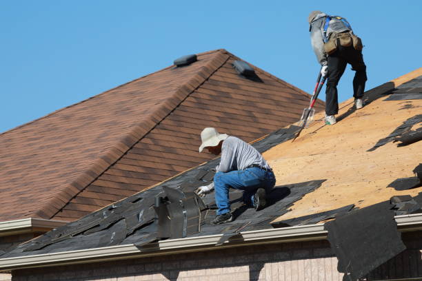 Best Skylight Installation and Repair  in Staples, CT