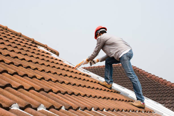 Best Roofing for New Construction  in Staples, CT